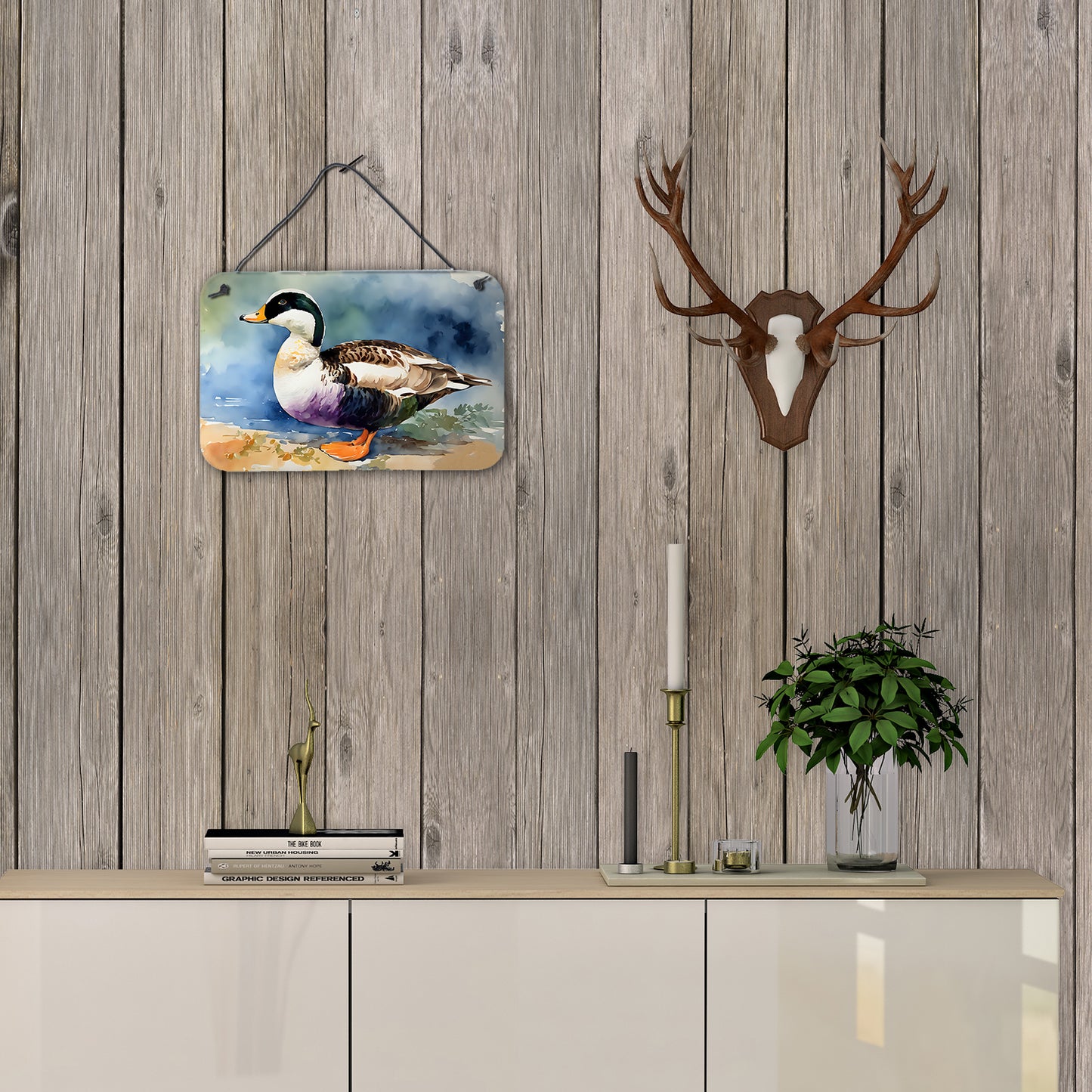 Common Eider Duck Wall or Door Hanging Prints