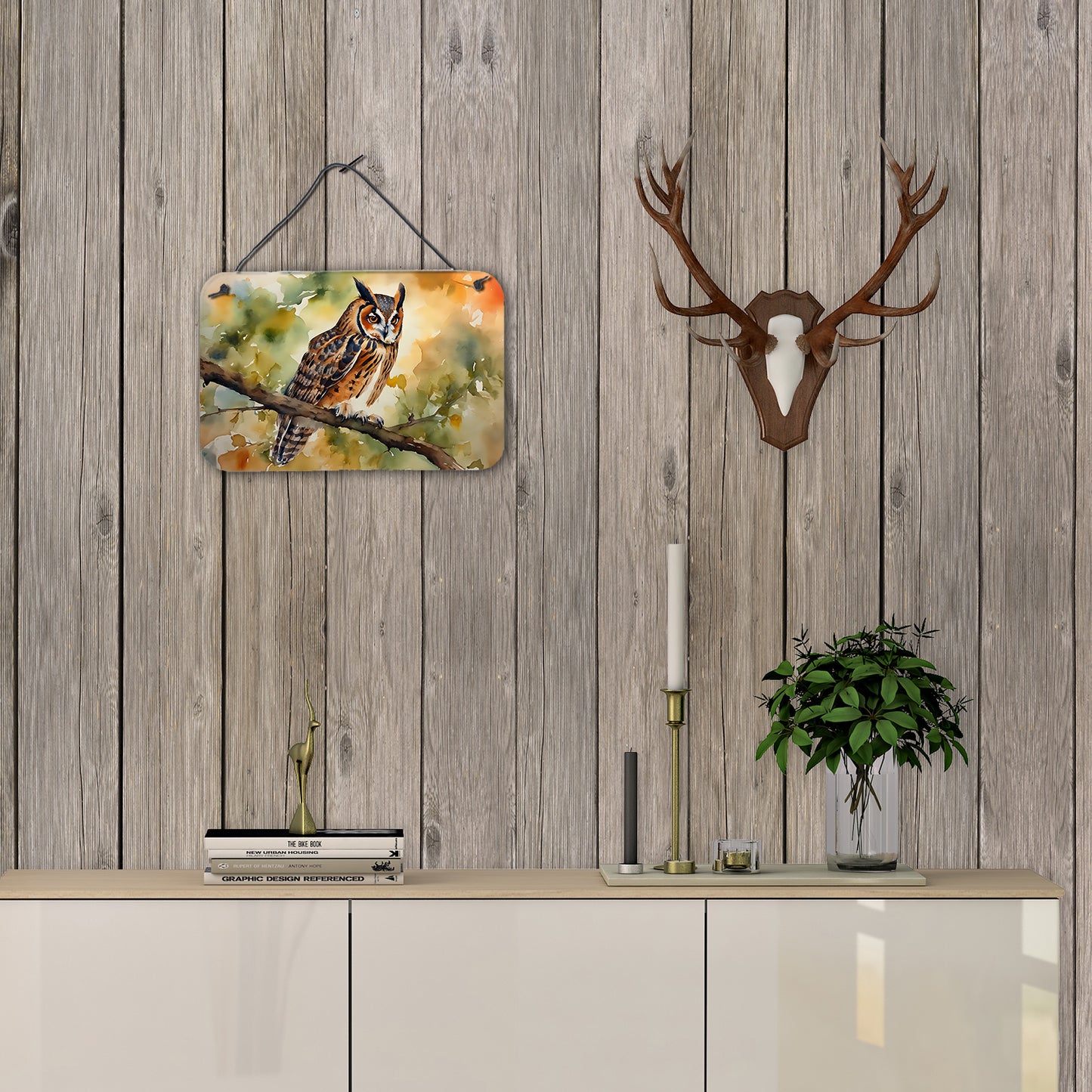 Long-Eared Owl Wall or Door Hanging Prints