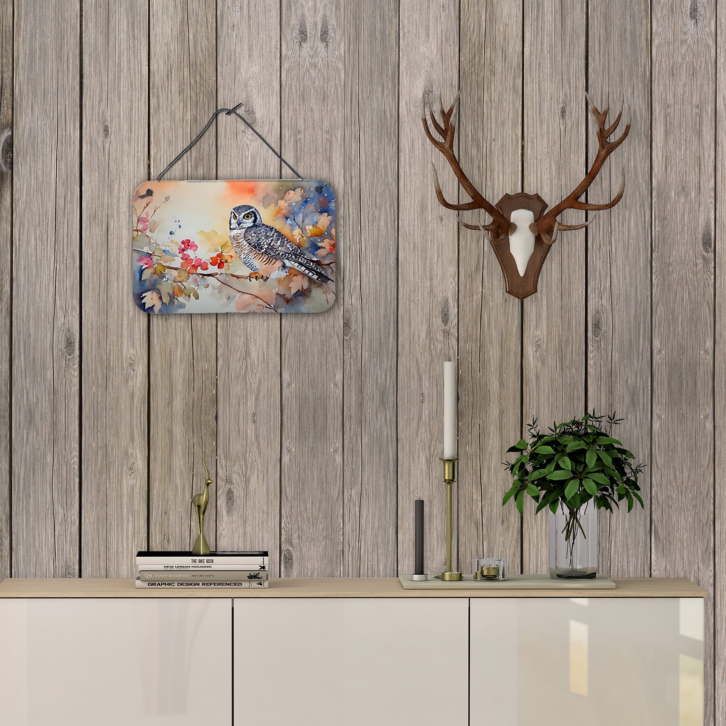 Northern Hawk Owl Wall or Door Hanging Prints