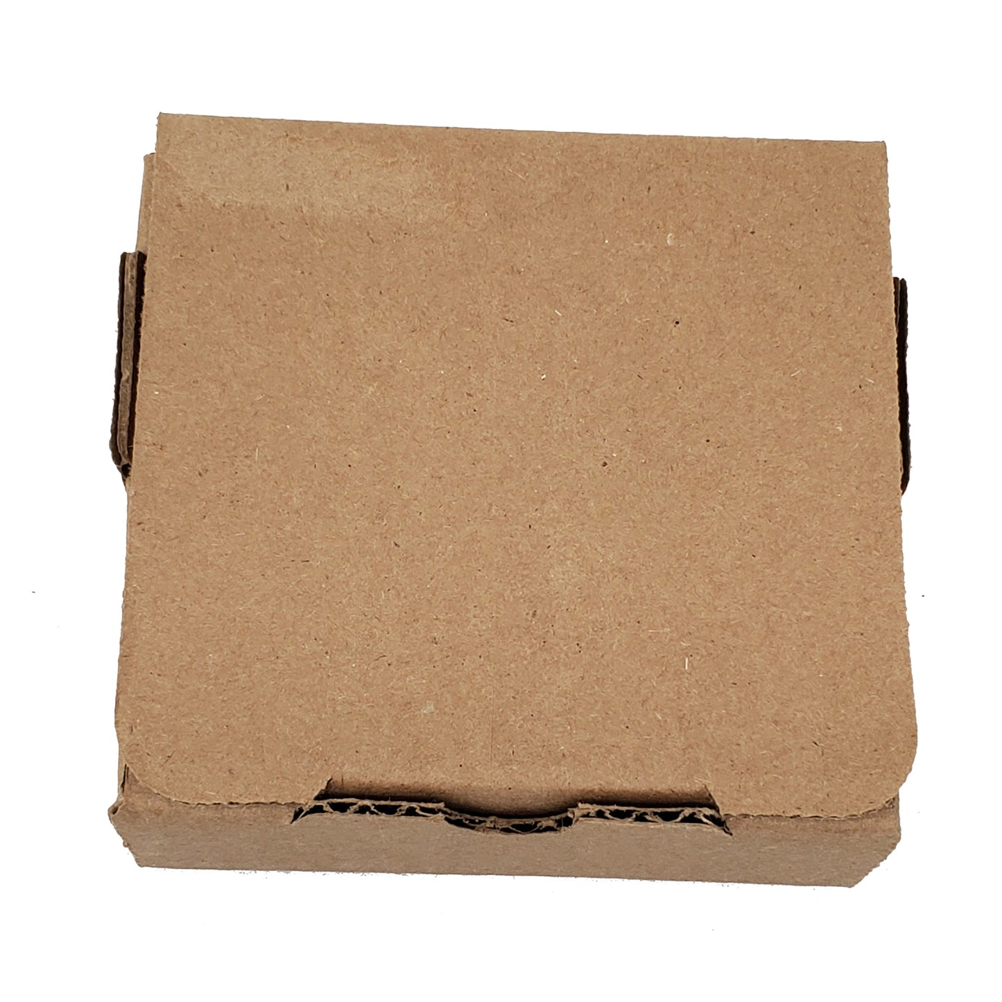 Papillon Luau Large Sandstone Coasters Pack of 4