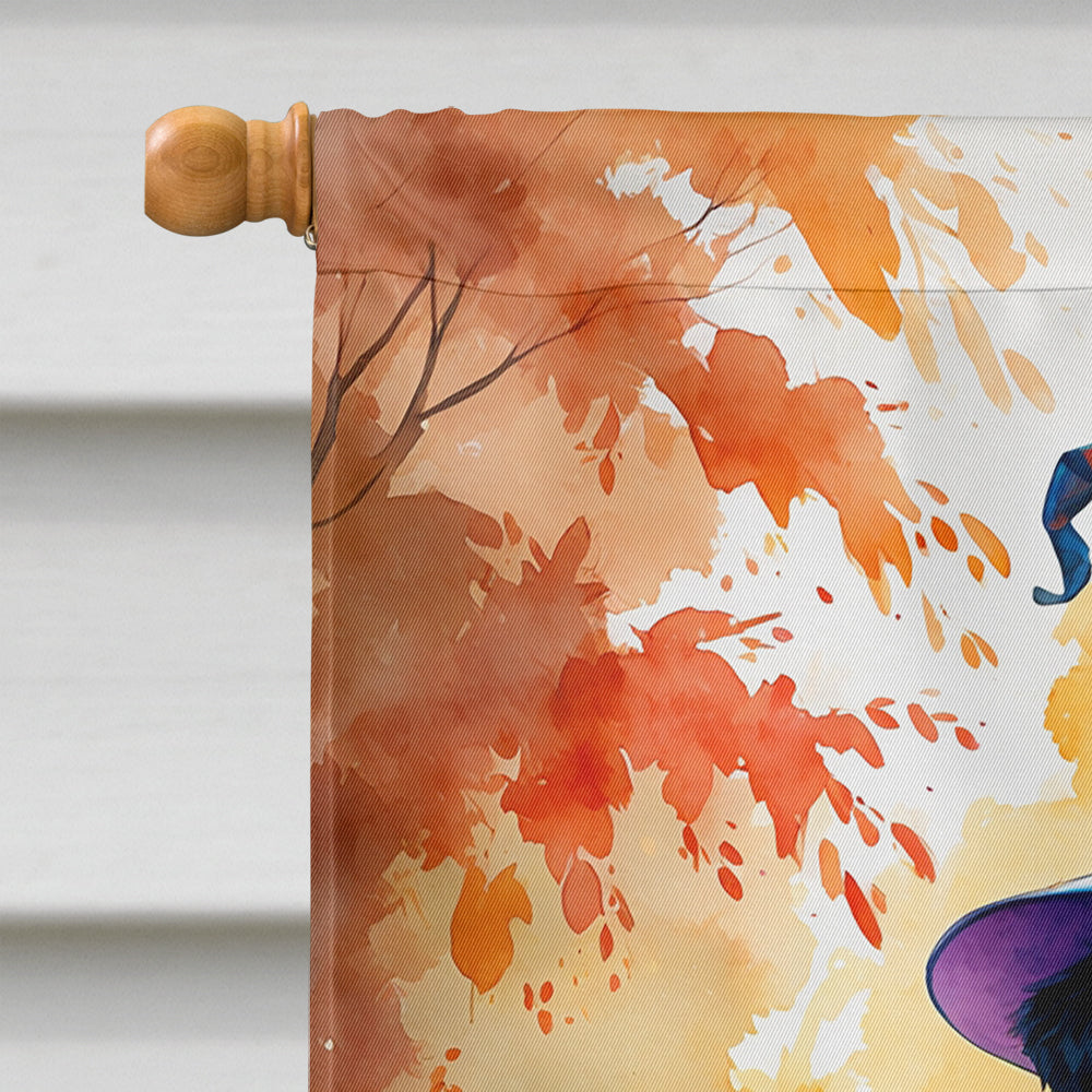 Bernese Mountain Dog Halloween Trick or Treat House Flag