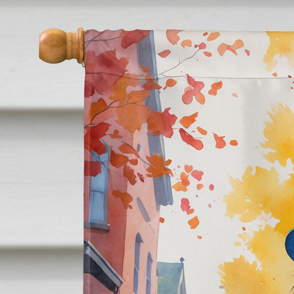 Chocolate Newfoundland Halloween Trick or Treat House Flag