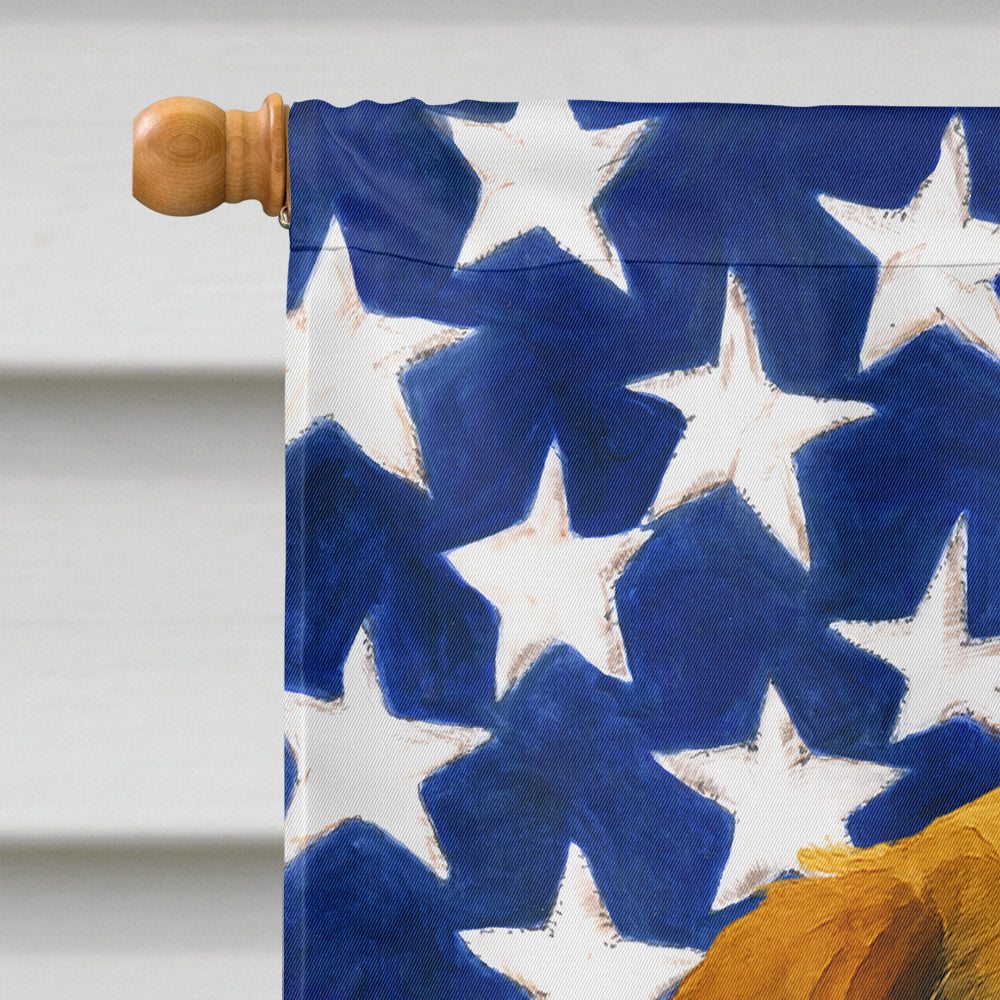 Tri-color Beagle American Flag House Flag