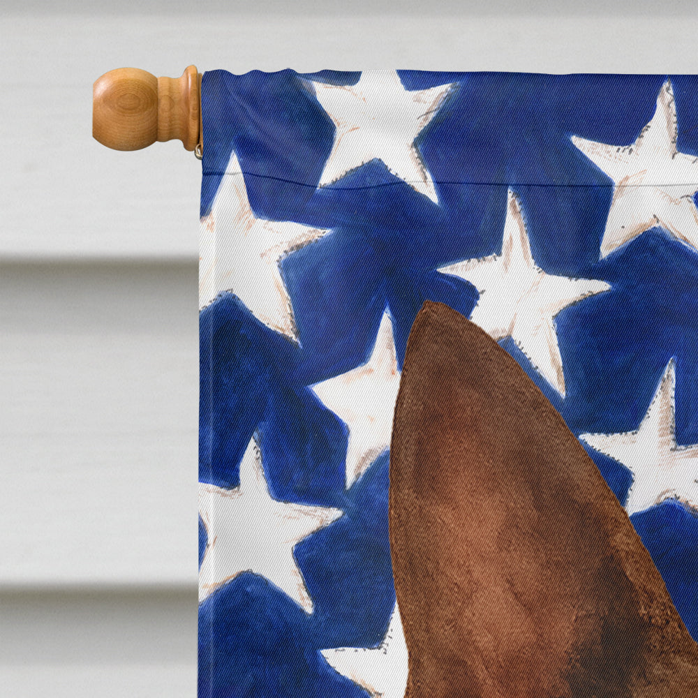 Seal and White Boston Terrier American Flag House Flag