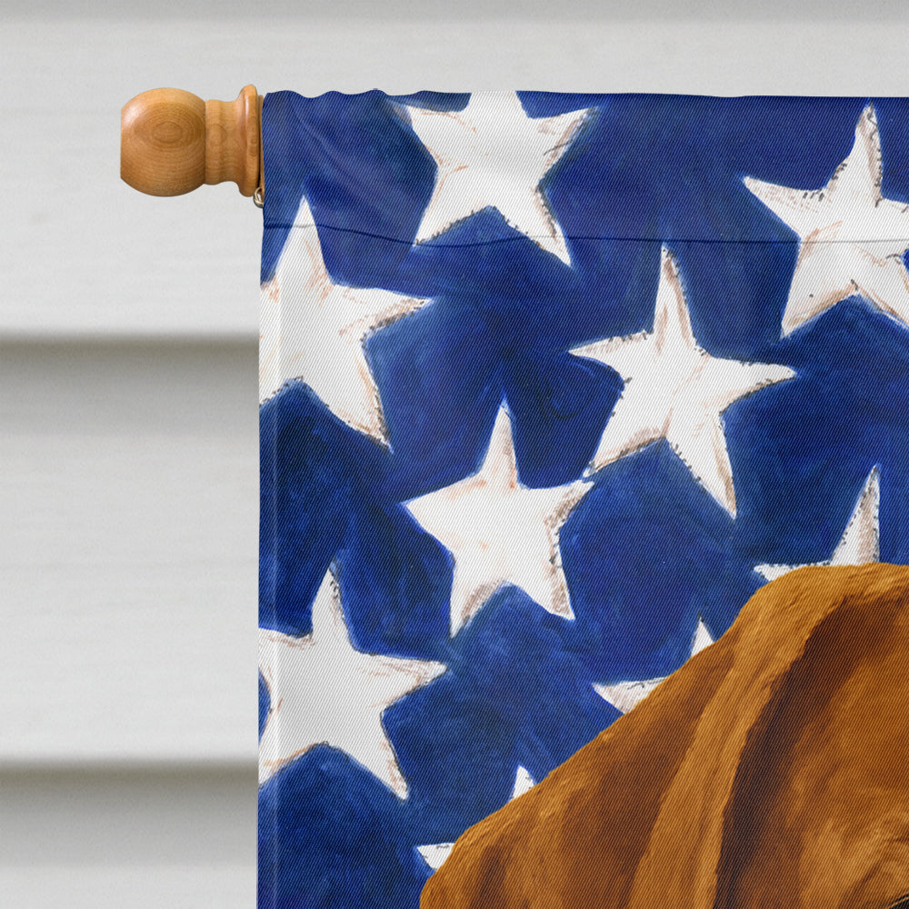 Chocolate Labrador Retriever American Flag House Flag