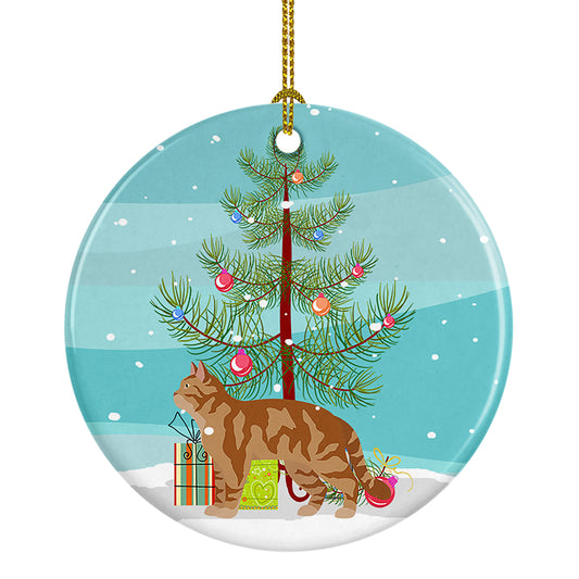 Buy this American Wirehair Cat Christmas Ceramic Ornament