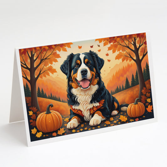 Buy this Bernese Mountain Dog Fall Greeting Cards Pack of 8