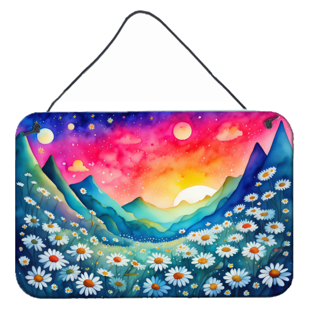 Buy this Daisies in Color Wall or Door Hanging Prints