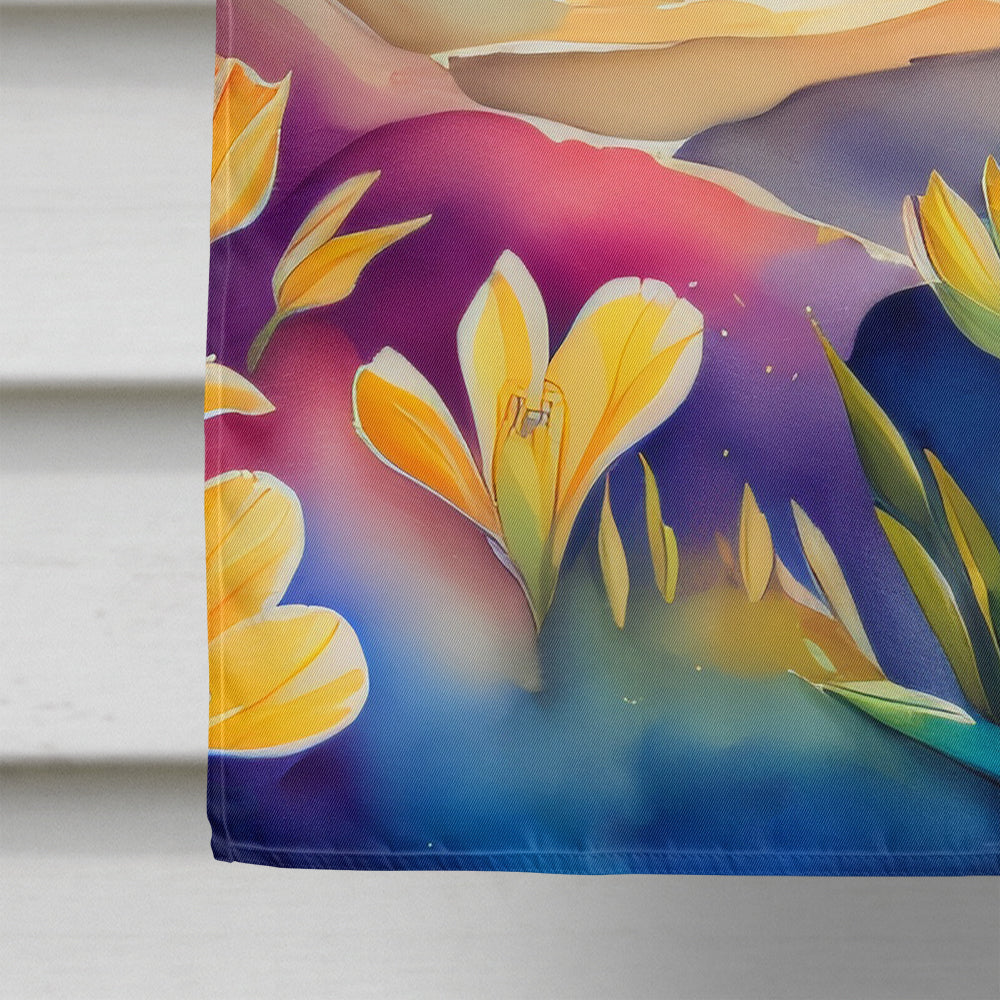Freesia in Color House Flag