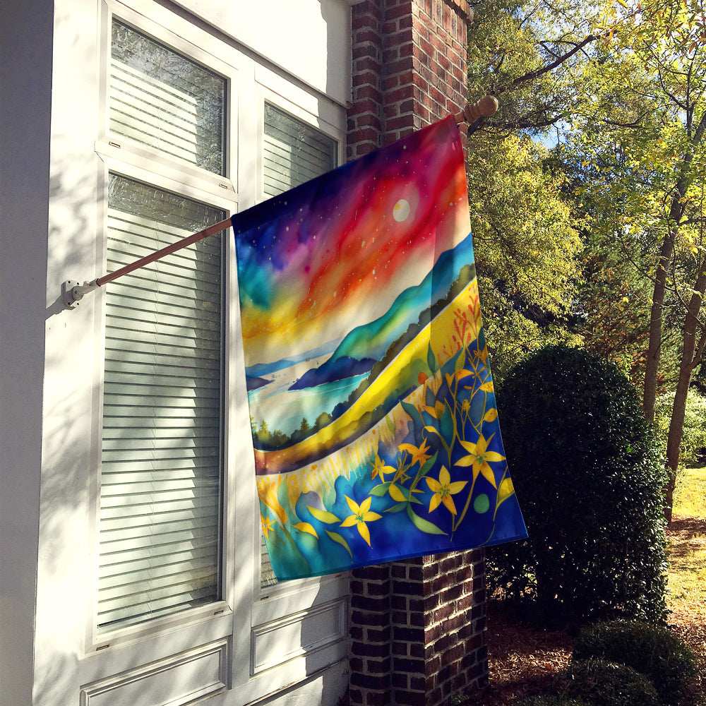 Hypericum or St. John s Wort in Color House Flag