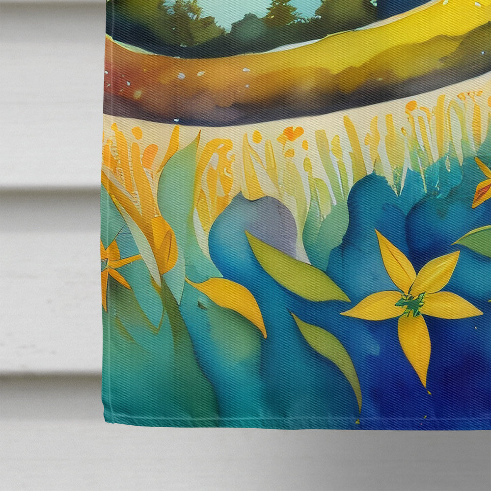 Hypericum or St. John s Wort in Color House Flag