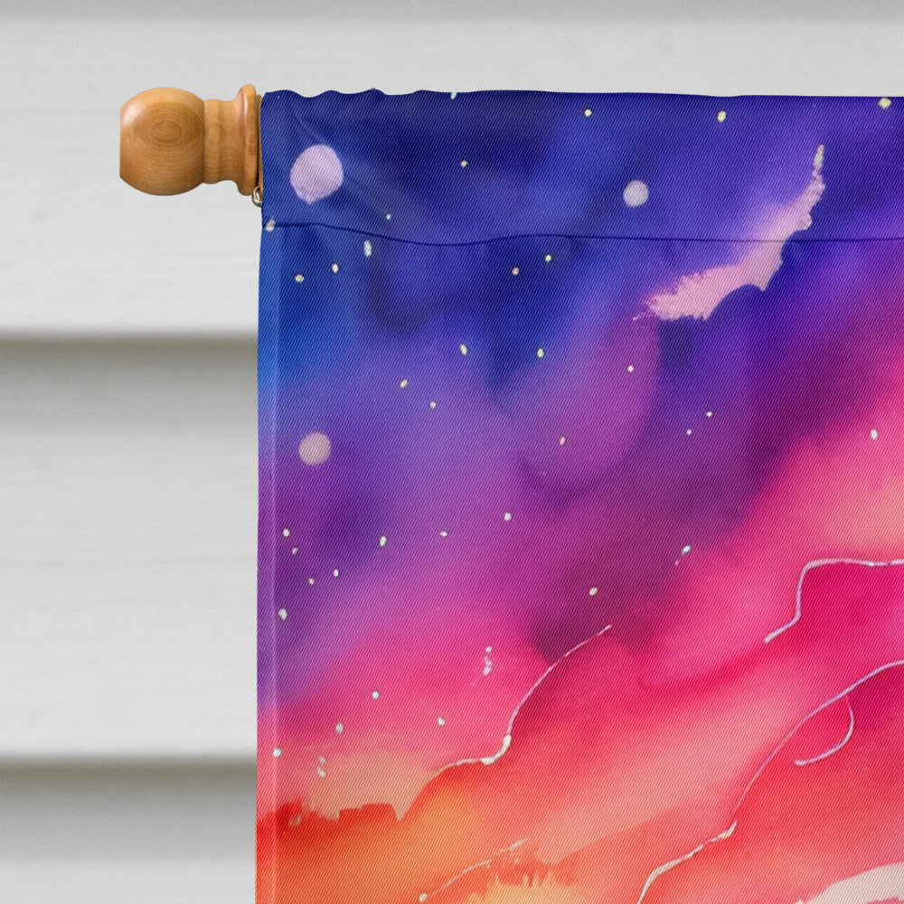 Phlox in Color House Flag