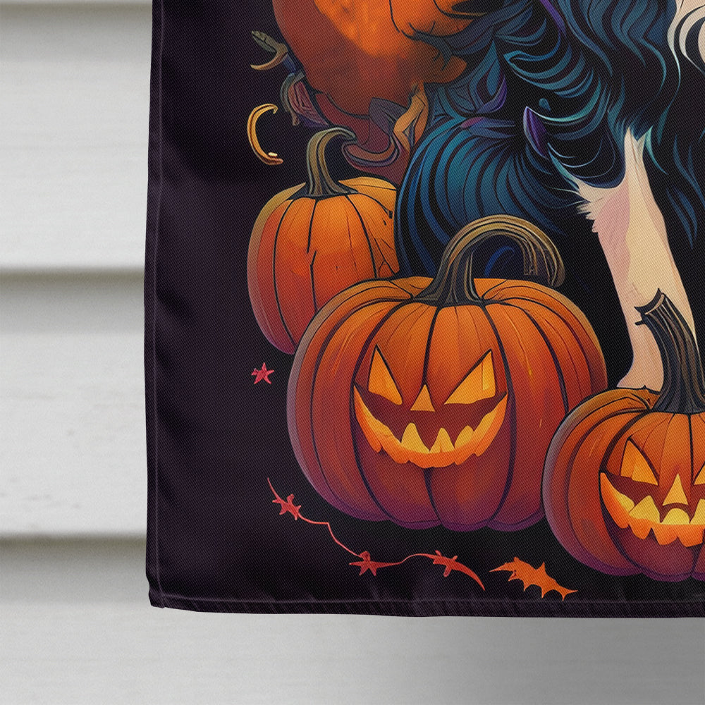 Border Collie Witchy Halloween House Flag