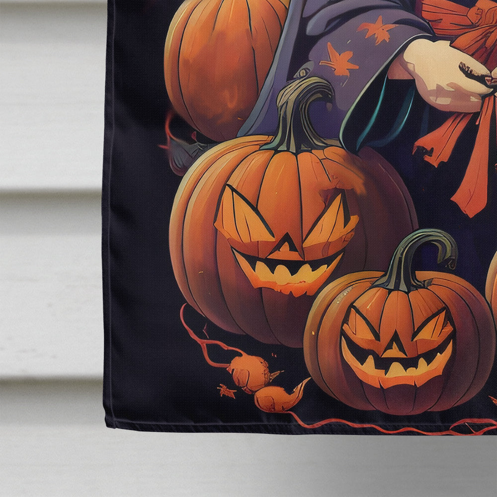 Japanese Chin Witchy Halloween House Flag