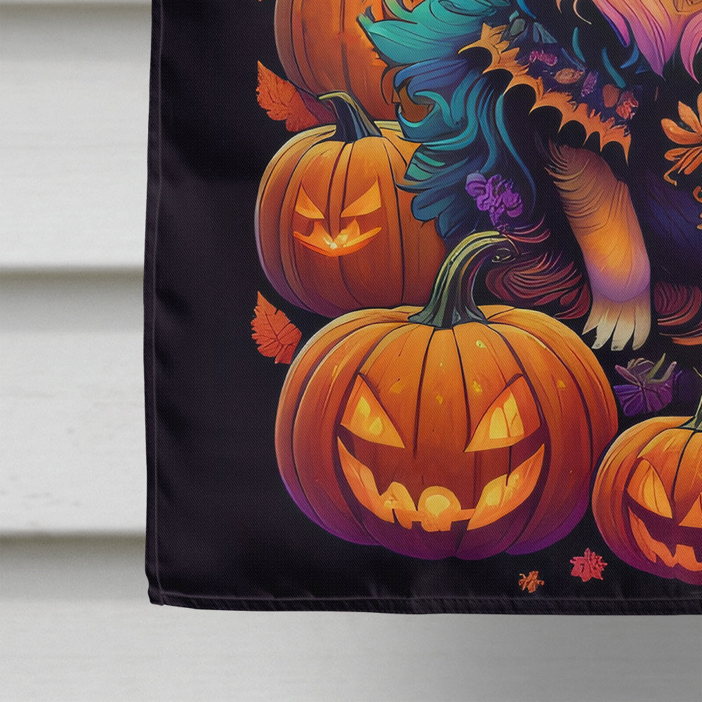 Pomeranian Witchy Halloween House Flag