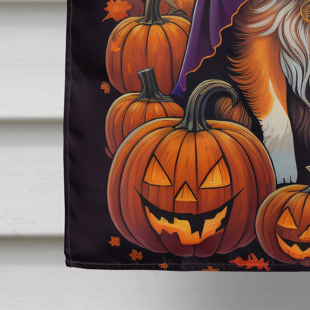 Sheltie Witchy Halloween House Flag