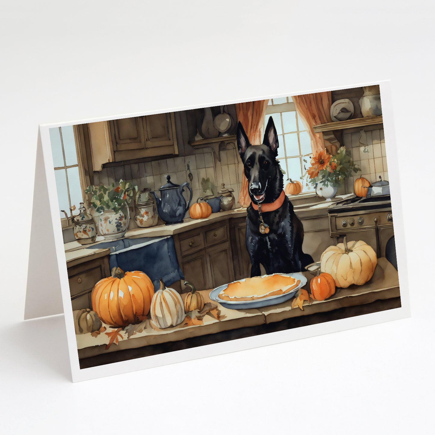 Buy this Belgian Malinois Fall Kitchen Pumpkins Greeting Cards Pack of 8