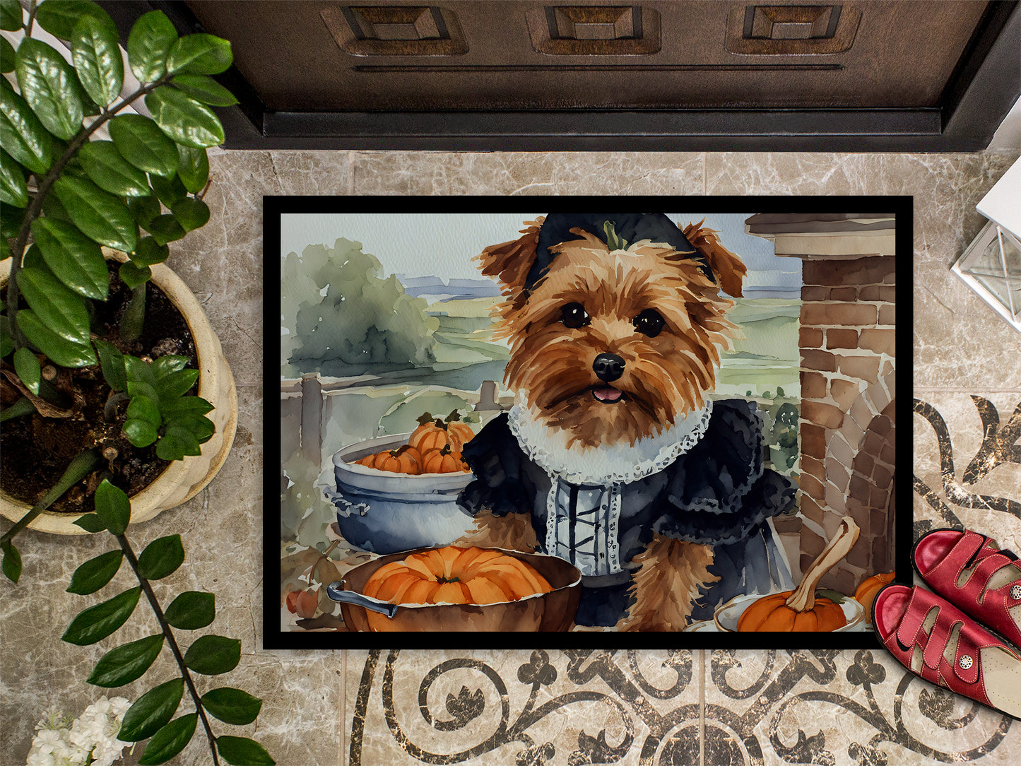 Norfolk Terrier Fall Kitchen Pumpkins Doormat