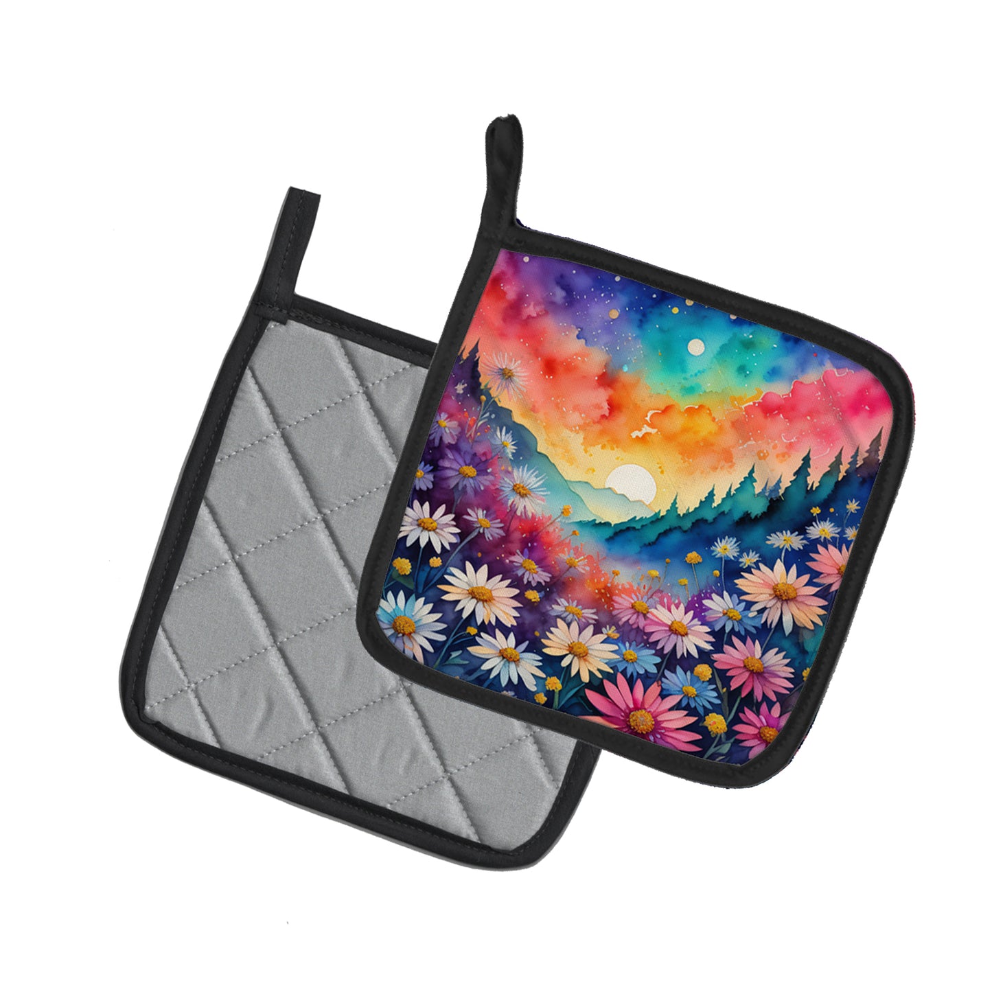 Colorful Asters Pair of Pot Holders