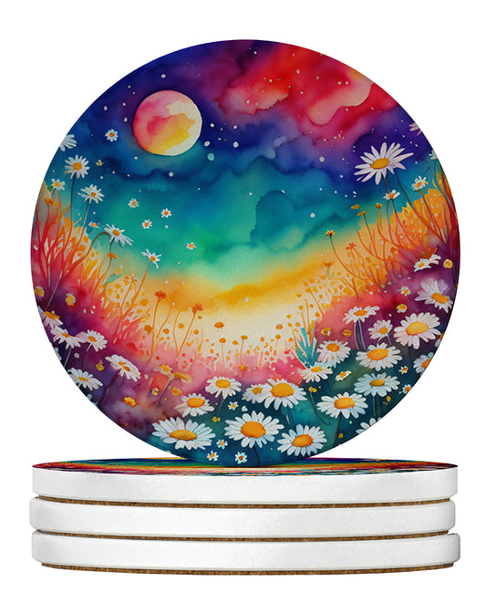 Buy this Colorful Daisies Large Sandstone Coasters Pack of 4