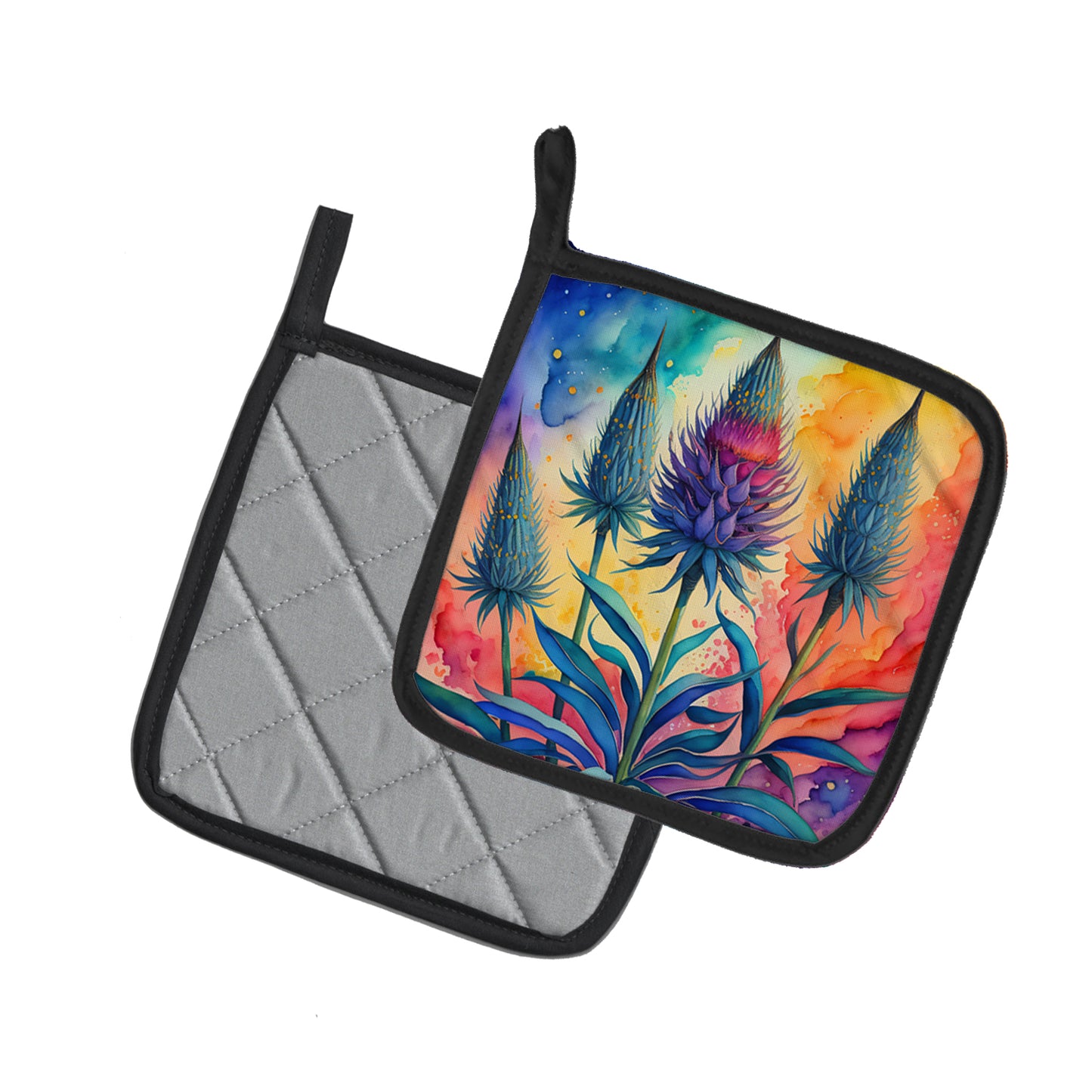 Colorful Eryngium Pair of Pot Holders