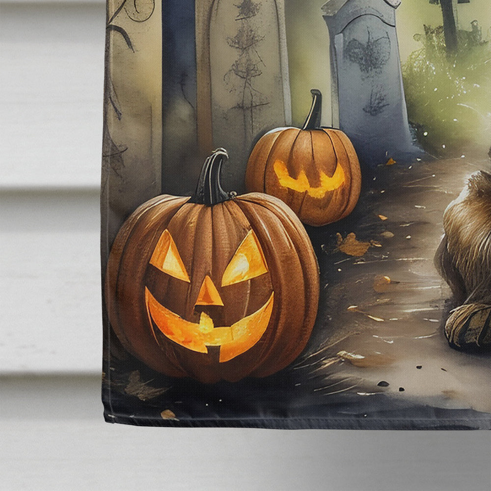 Border Terrier Spooky Halloween House Flag