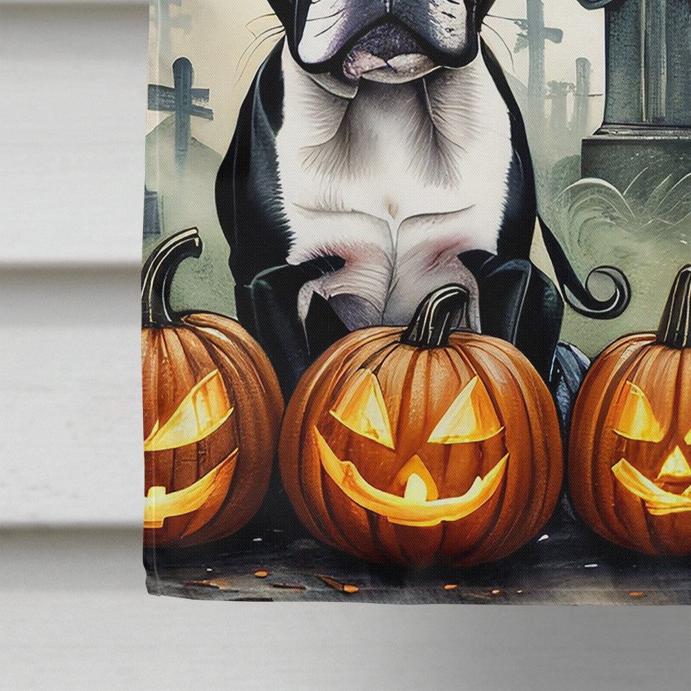 Boston Terrier Spooky Halloween House Flag