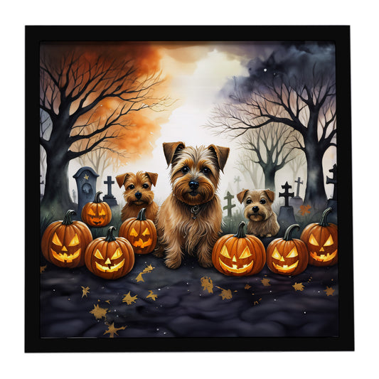 Buy this Norfolk Terrier Spooky Halloween Framed Metal Print