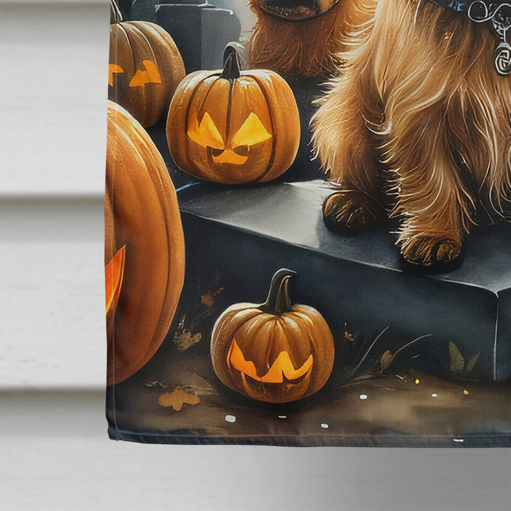 Norwich Terrier Spooky Halloween House Flag