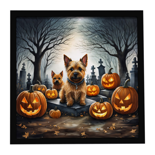 Buy this Norwich Terrier Spooky Halloween Framed Metal Print