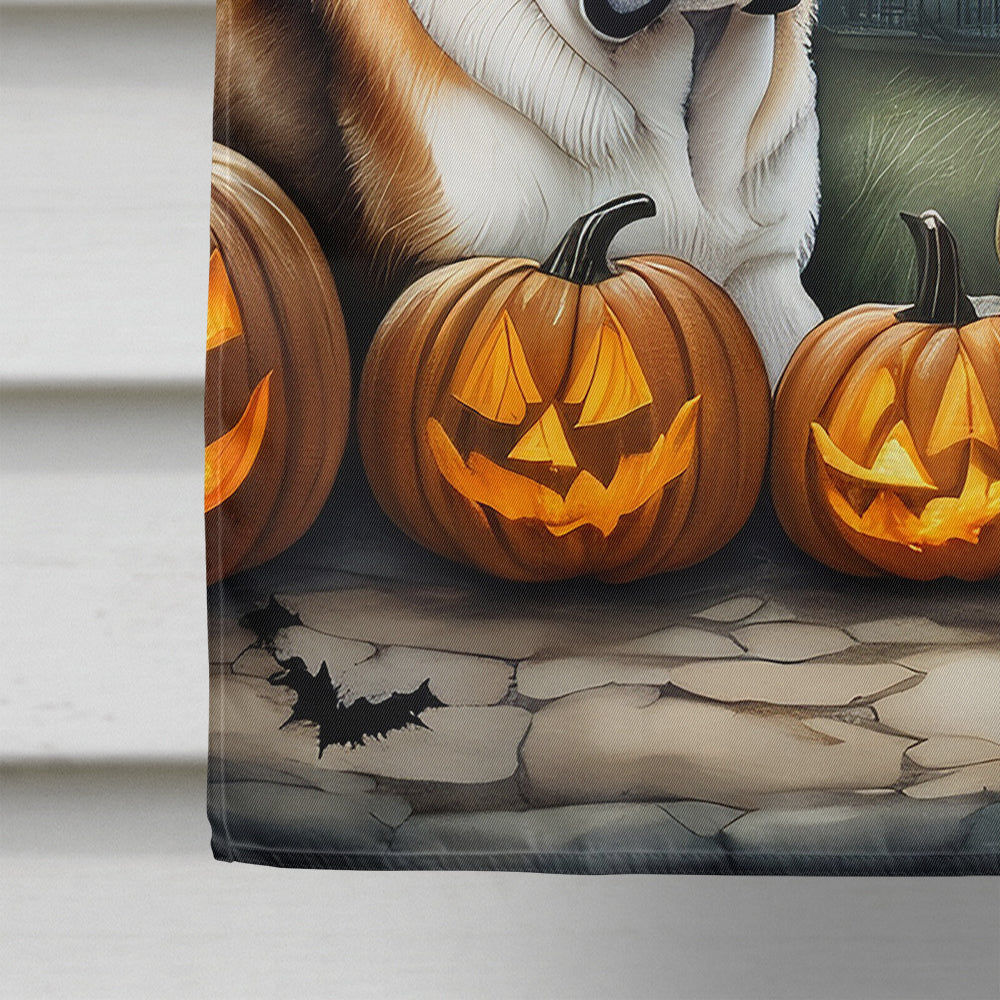 Saint Bernard Spooky Halloween House Flag