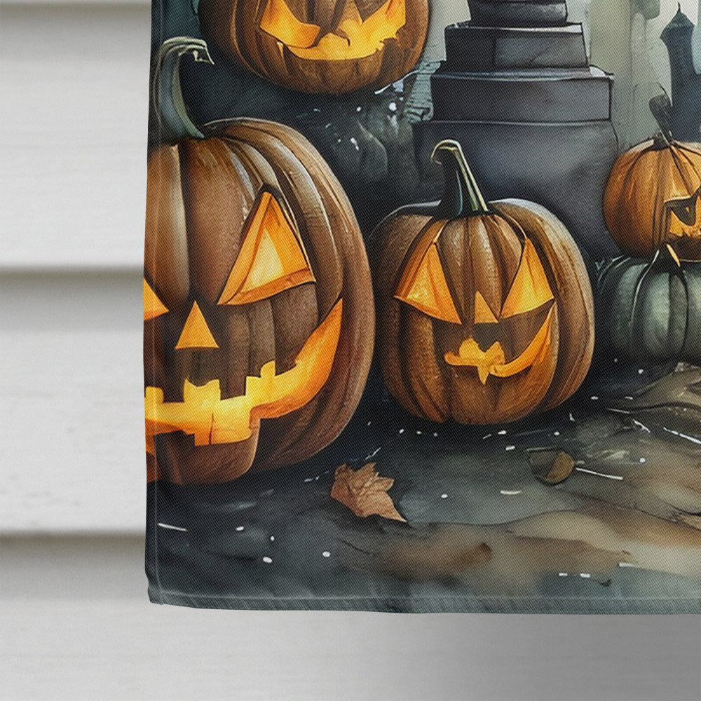Graveyard Spooky Halloween House Flag