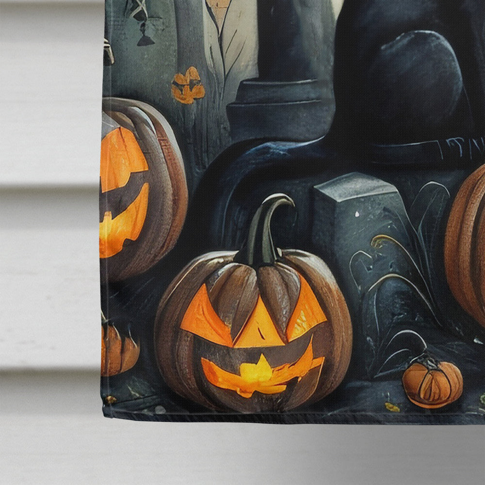 Black Cat Spooky Halloween House Flag