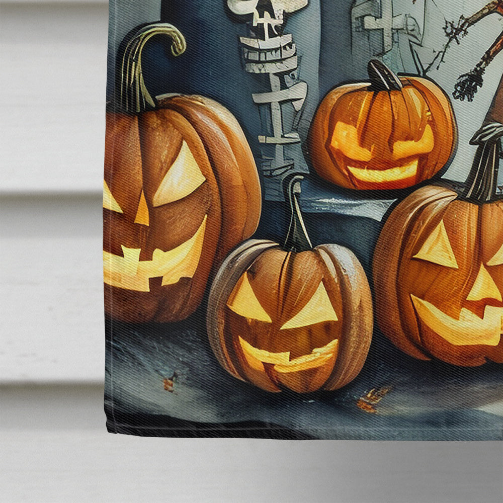 Calacas Skeletons Spooky Halloween House Flag