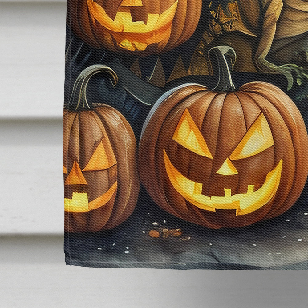 Dinosaurs Spooky Halloween House Flag