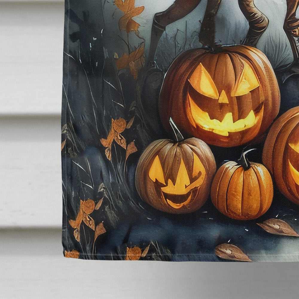 Dinosaurs Spooky Halloween House Flag