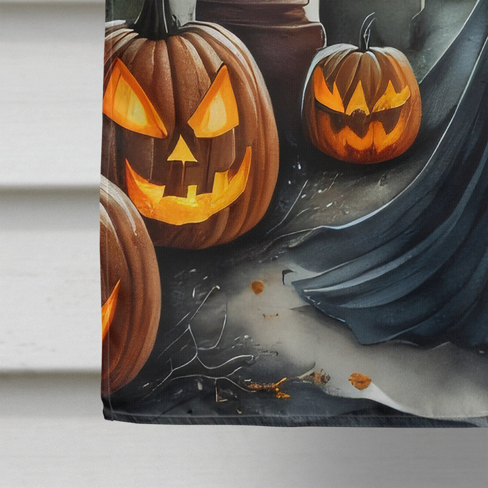 Evil Queen Spooky Halloween House Flag