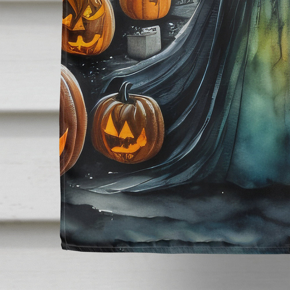 Evil Queen Spooky Halloween House Flag