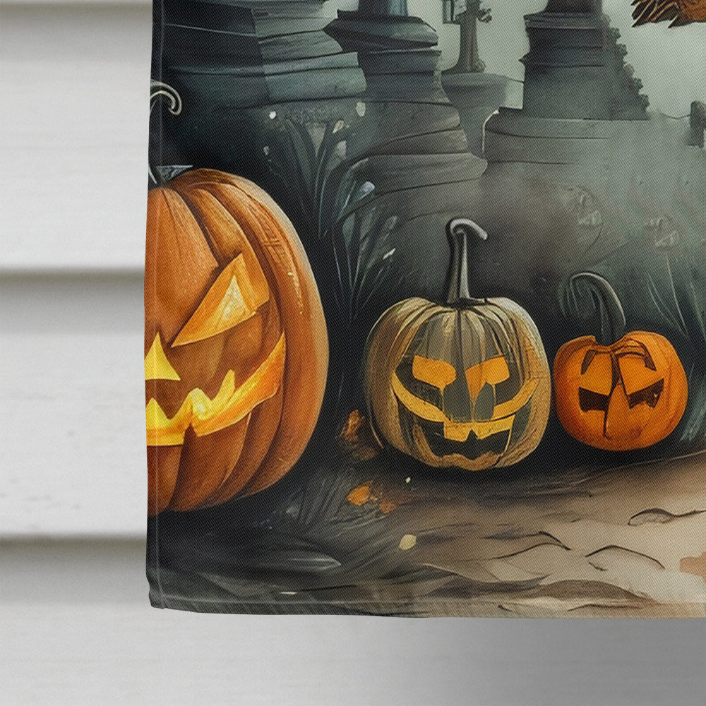 La Llorona Skeleton Spooky Halloween House Flag