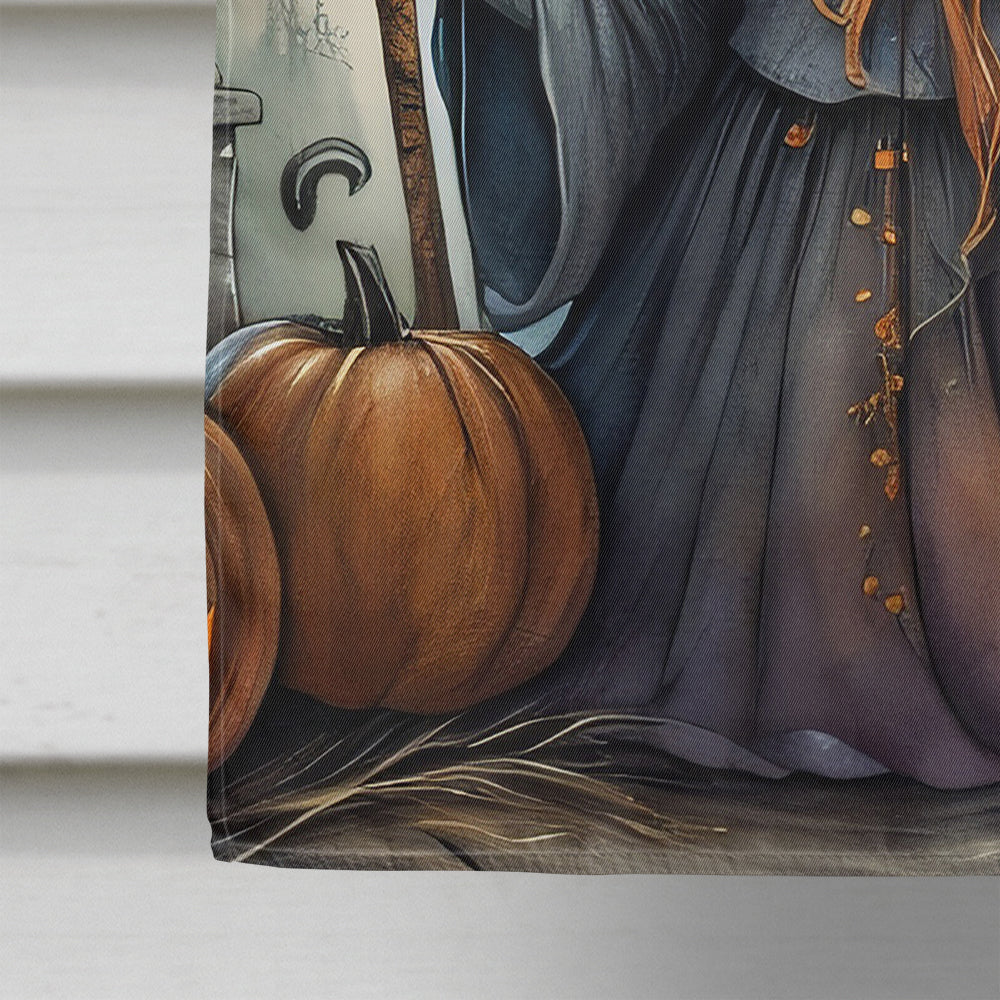 Witch Spooky Halloween House Flag
