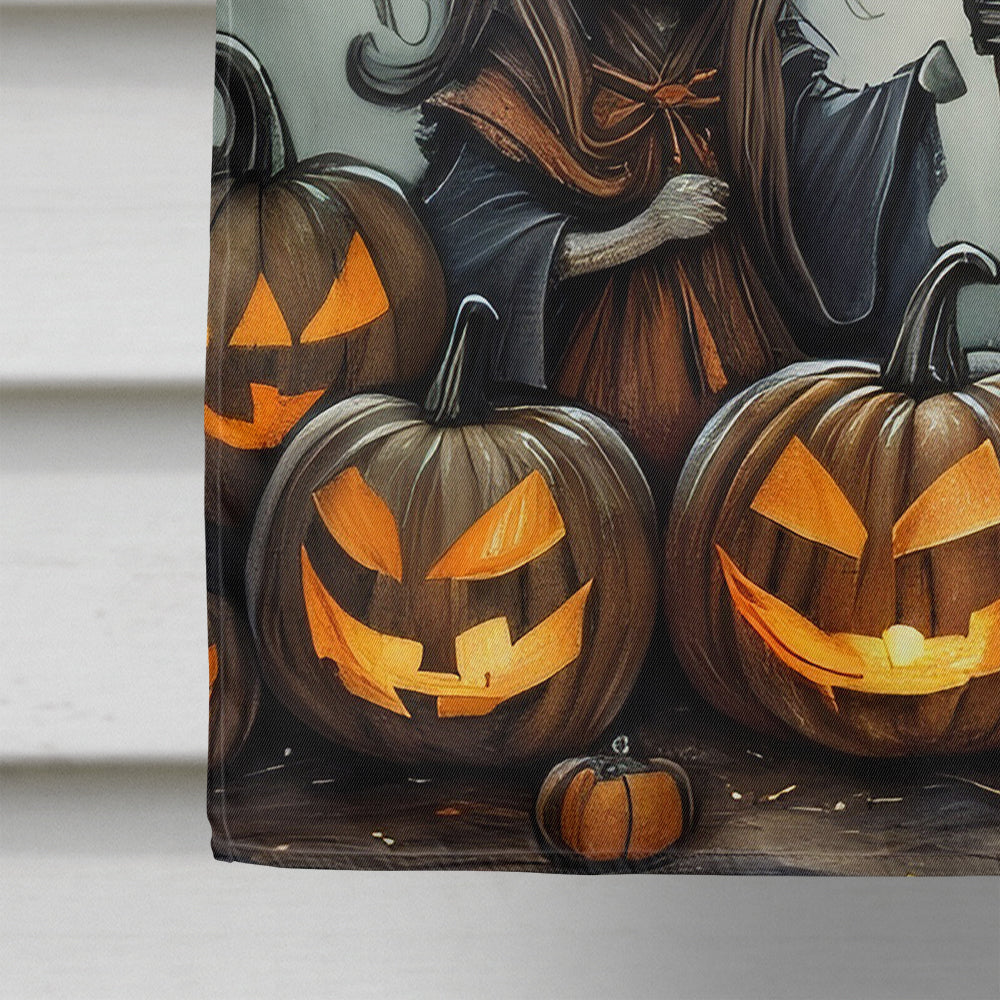 Witches Spooky Halloween House Flag