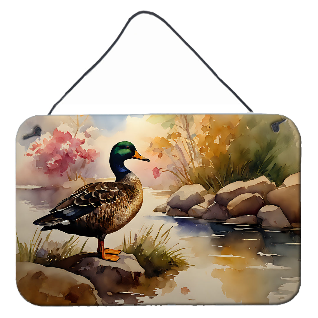 Buy this American Black Duck Wall or Door Hanging Prints