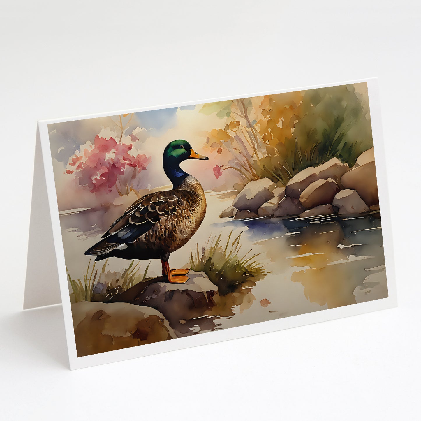 Buy this American Black Duck Greeting Cards Pack of 8