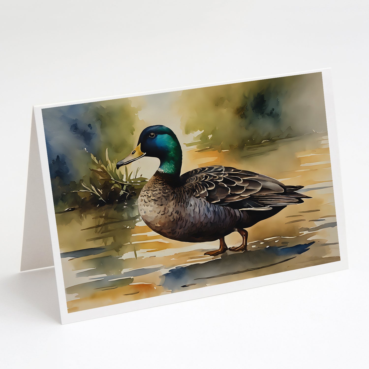 Buy this American Black Duck Greeting Cards Pack of 8