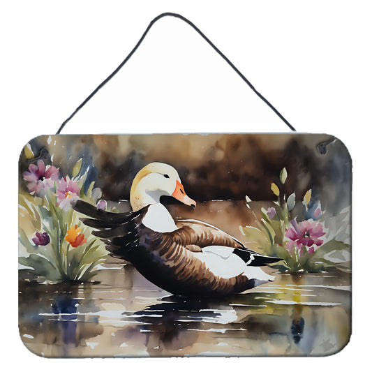 Buy this Common Eider Duck Wall or Door Hanging Prints