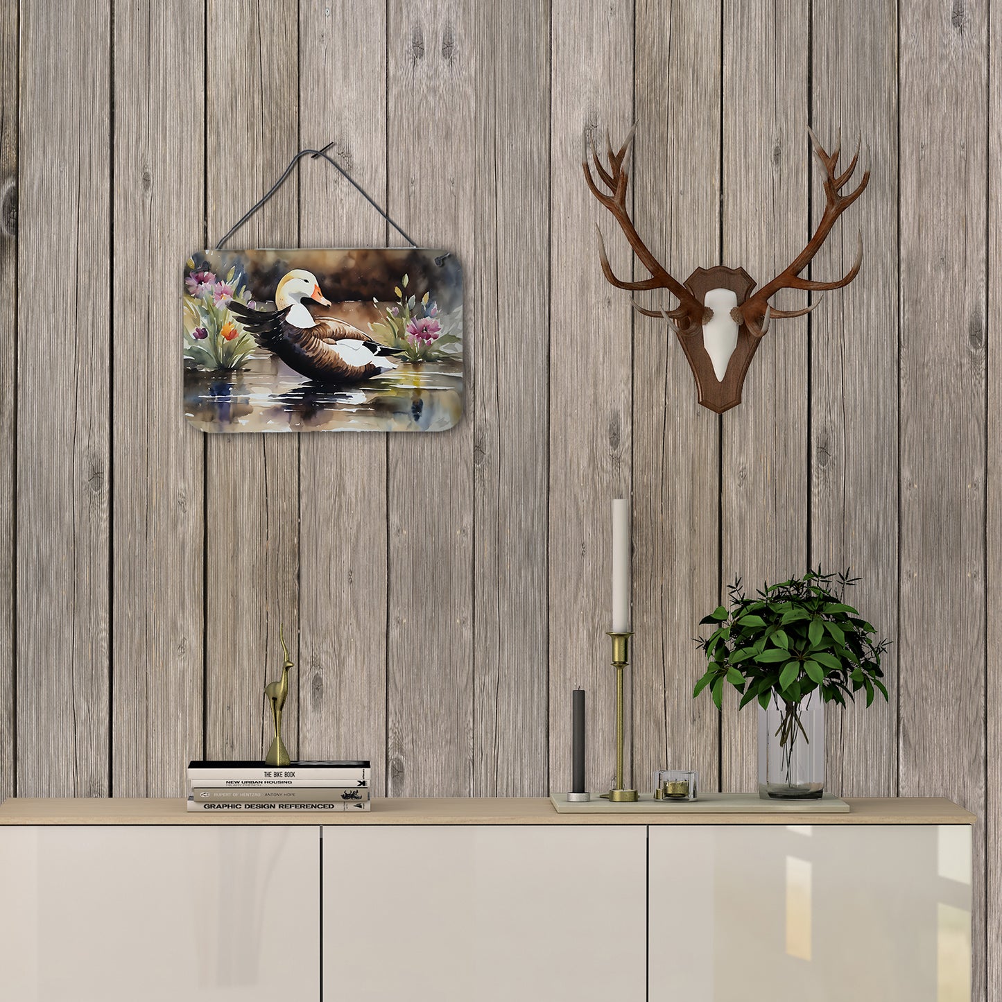 Common Eider Duck Wall or Door Hanging Prints