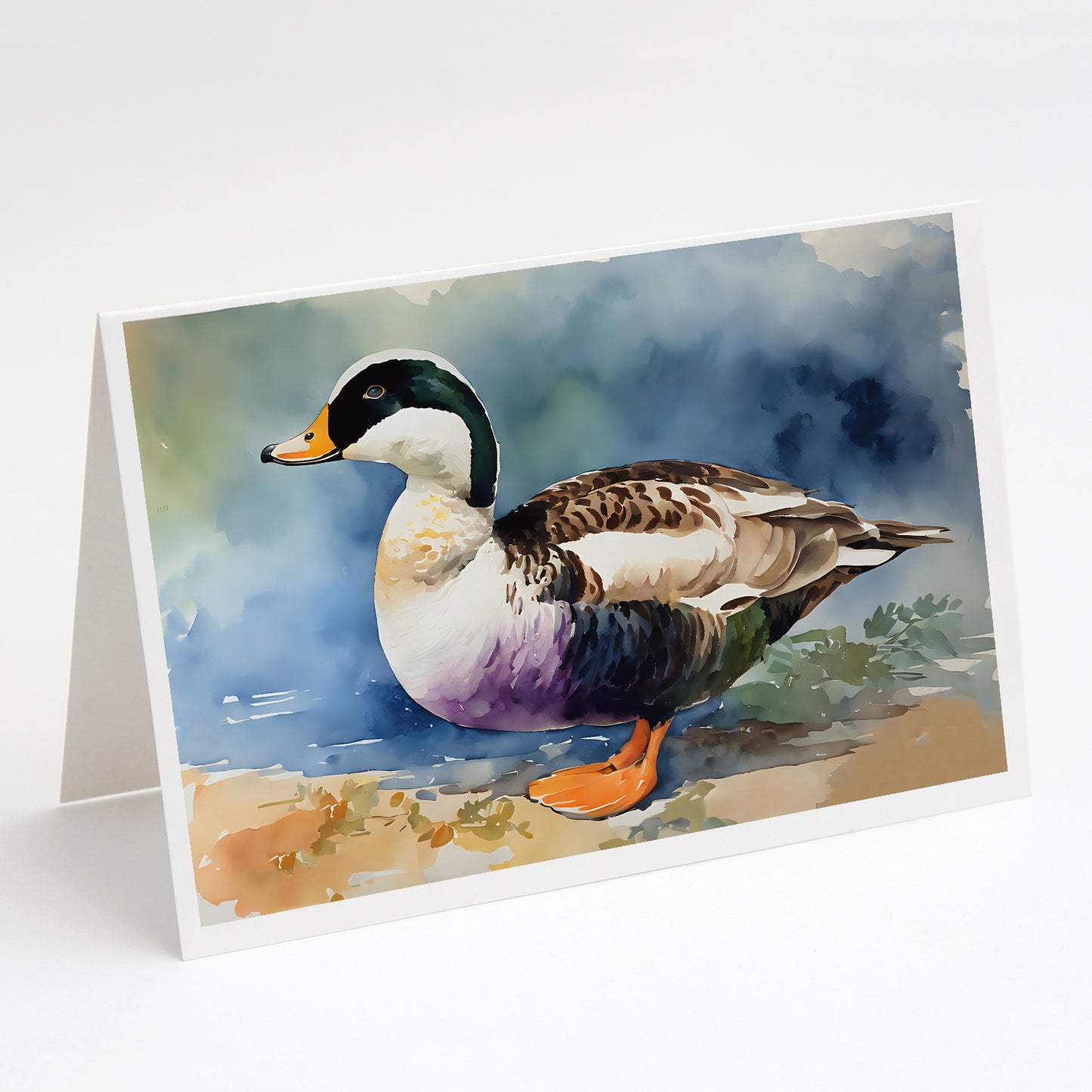 Buy this Common Eider Duck Greeting Cards Pack of 8