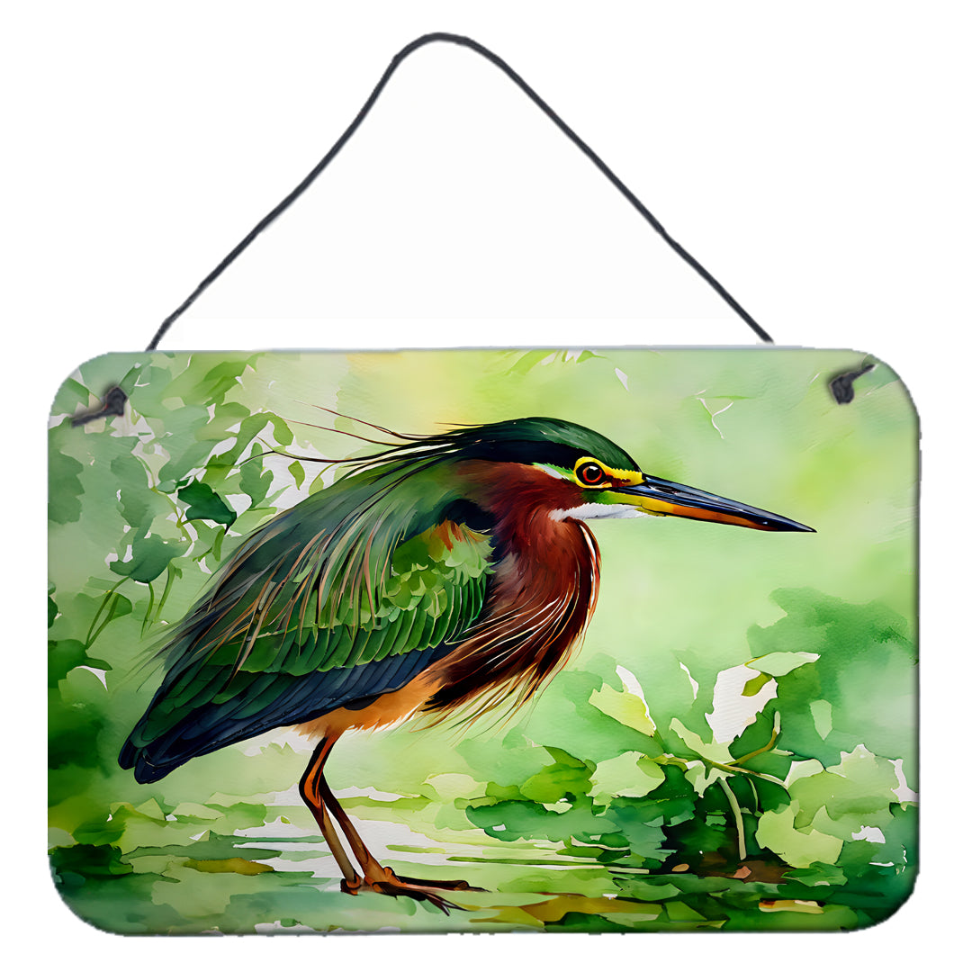 Buy this Green Heron Wall or Door Hanging Prints