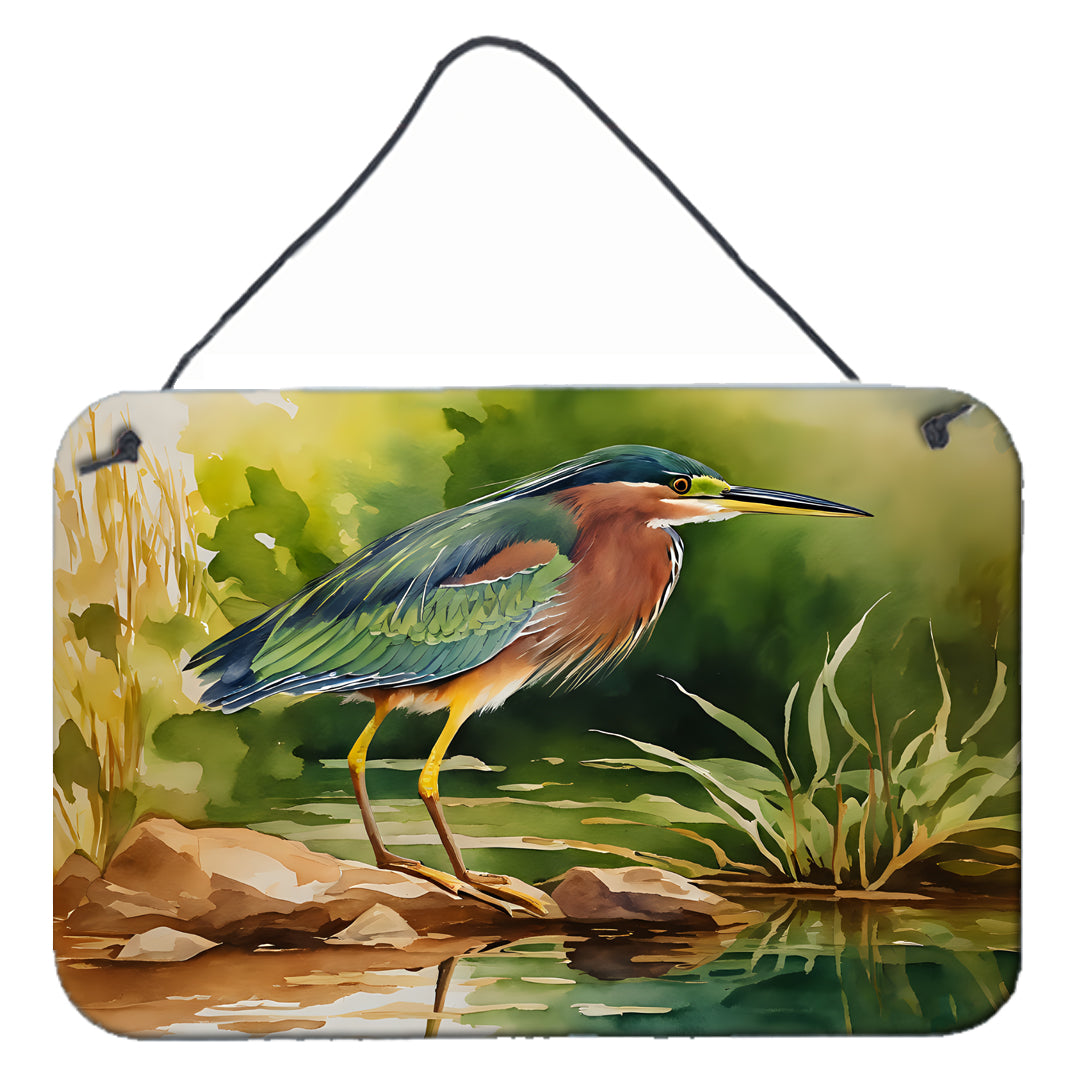 Buy this Green Heron Wall or Door Hanging Prints