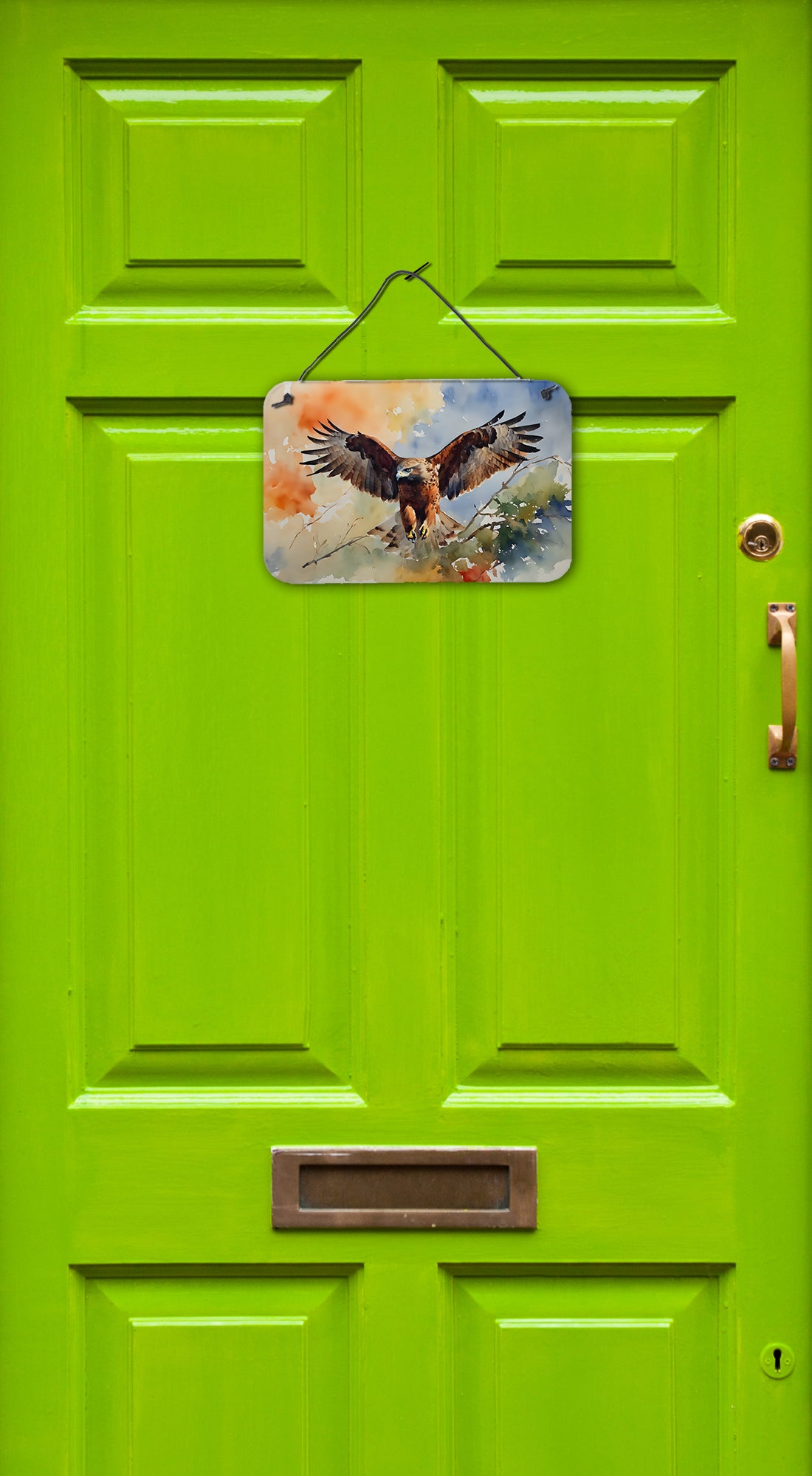 Hawk Wall or Door Hanging Prints